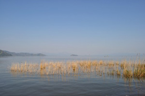 琵琶湖２
